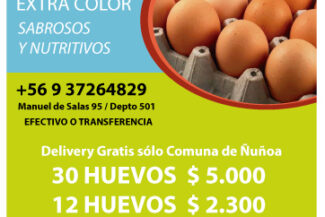 Huevos de campo extra color