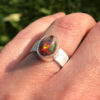 Anillo galaxy