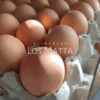 Huevos Gallina Feliz tamaño Extra